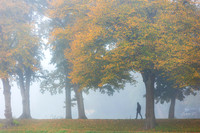 Straßenfotografie